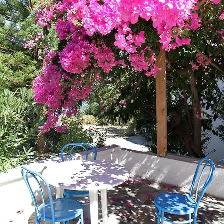 Hotel Delfini