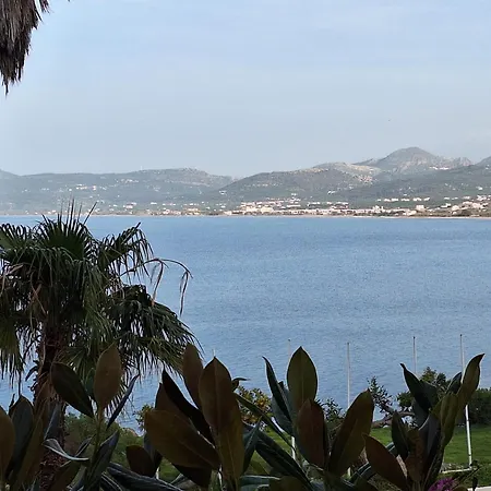 Delfini Hotel *